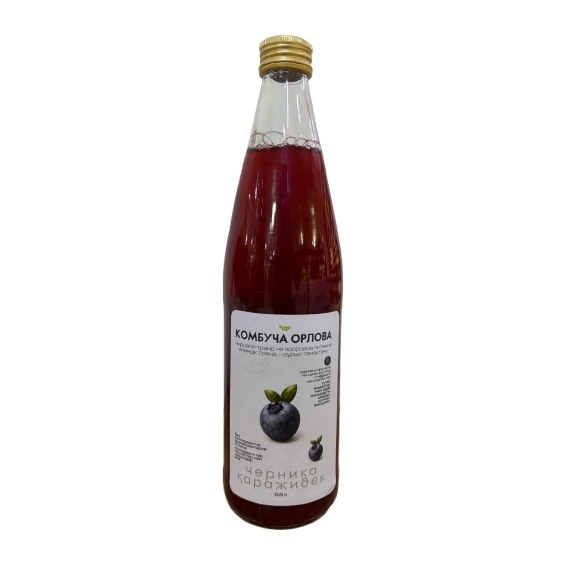 17% Ragout Камбуча Черника